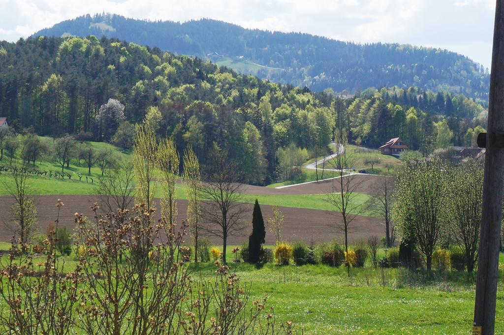 Pension Wolkenreich Oberhaag Kültér fotó